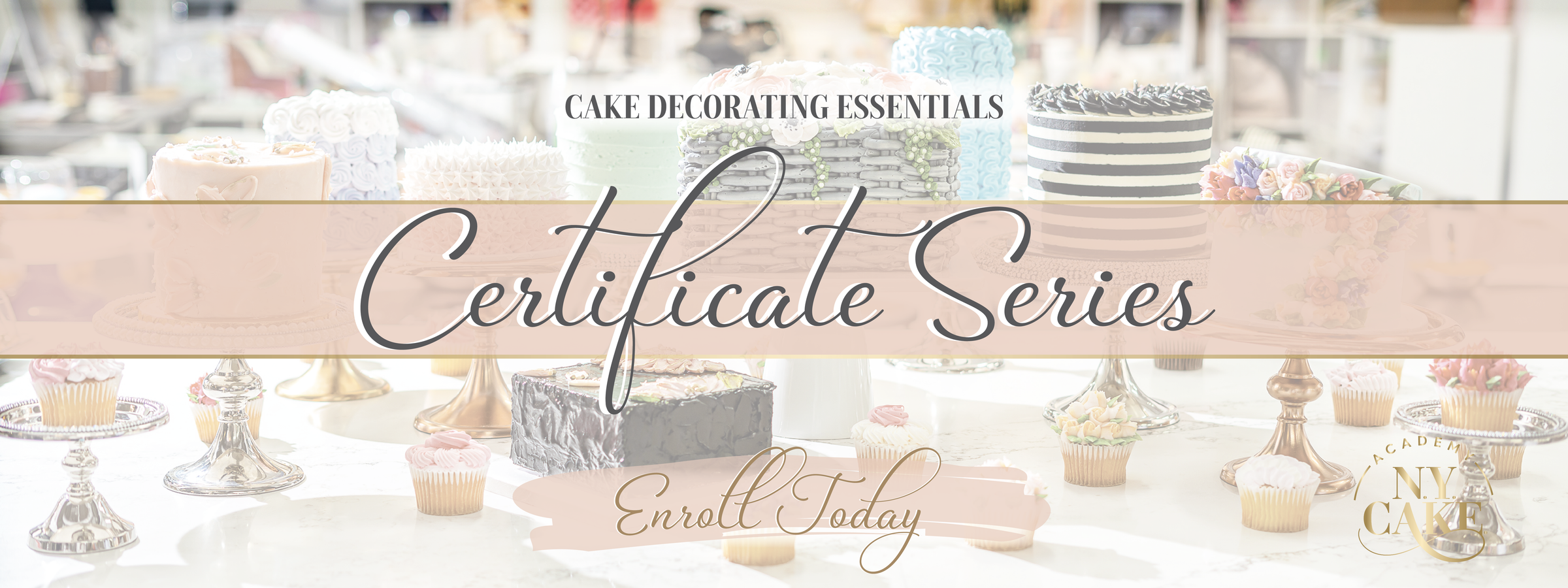 NY Cake Academy | Certificate Series | Cake Decorating Essentials | Master Cake Decorating Today