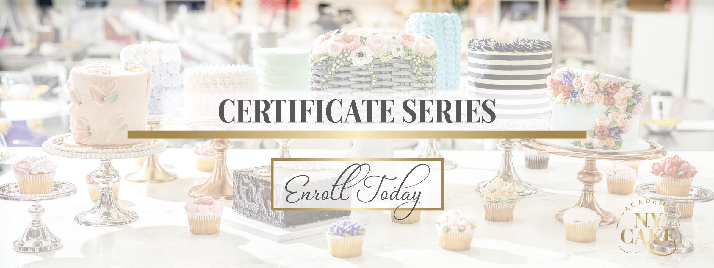 NY Cake Academy | Certificate Series | New York's Premier Cake Decorating Classes And Events