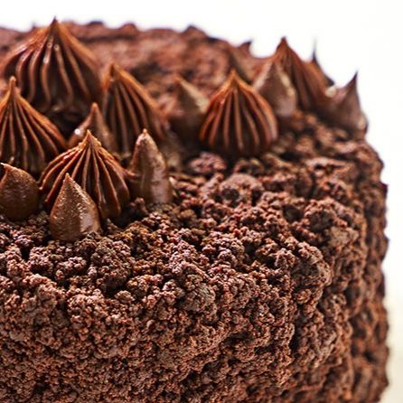 Cake Baking 4: Chocolate in Cakes - Jun 24th